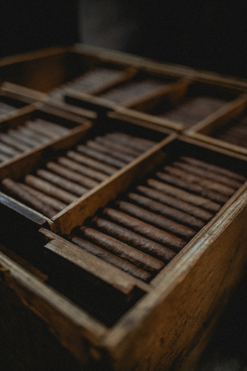 Cigars neatly arranged in a wooden humidor's compartments.